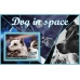 Фауна Собаки в космосе